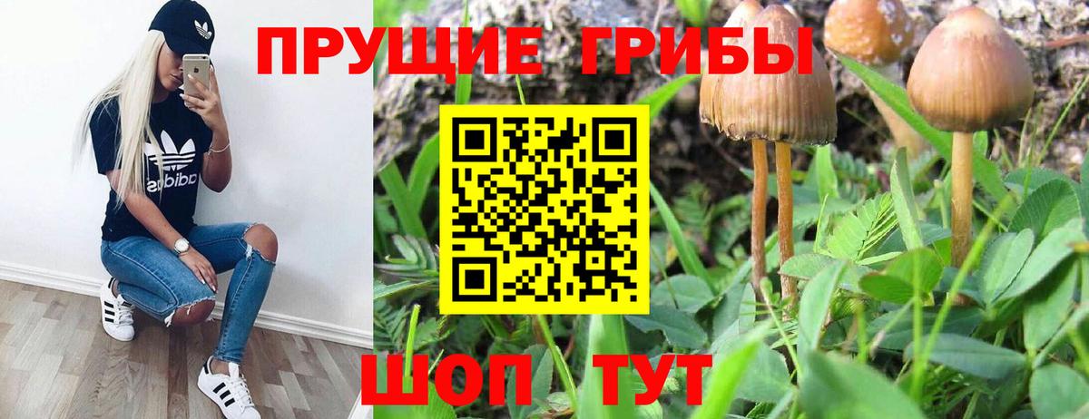 Долгопрудный  Галлюциногенные грибы мухоморы  Вход с VPN 